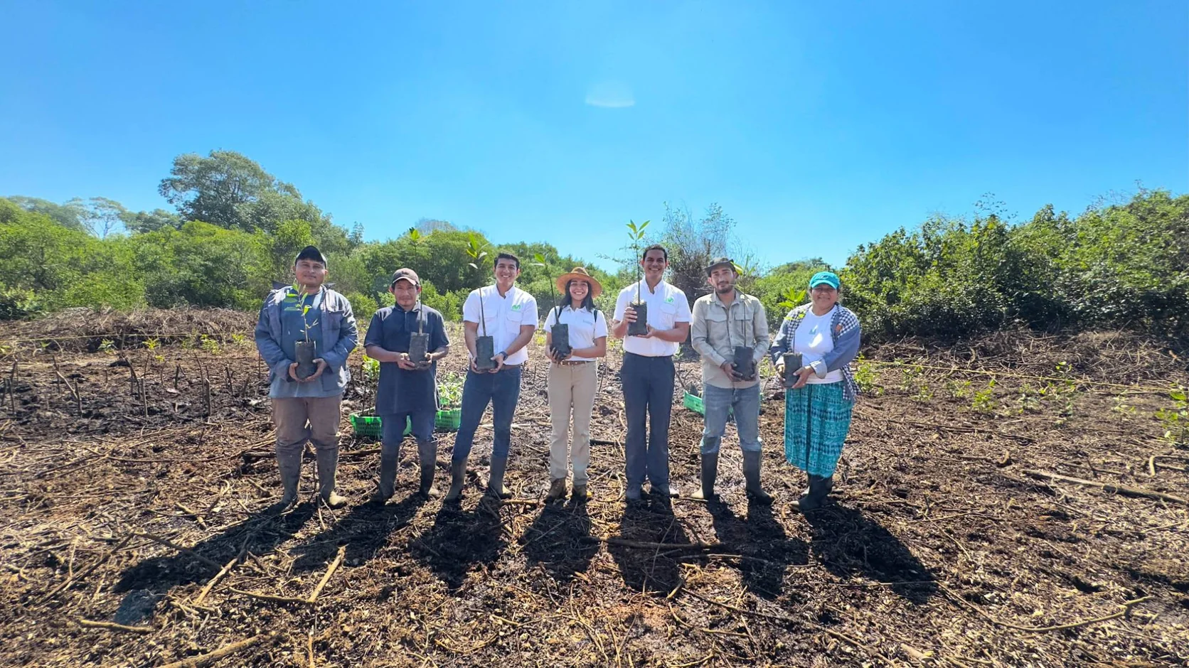 Voluntarios de Movistar y miembros de la comunidad sostienen plantas de mangle en el área de reforestación de Barra de Santiago