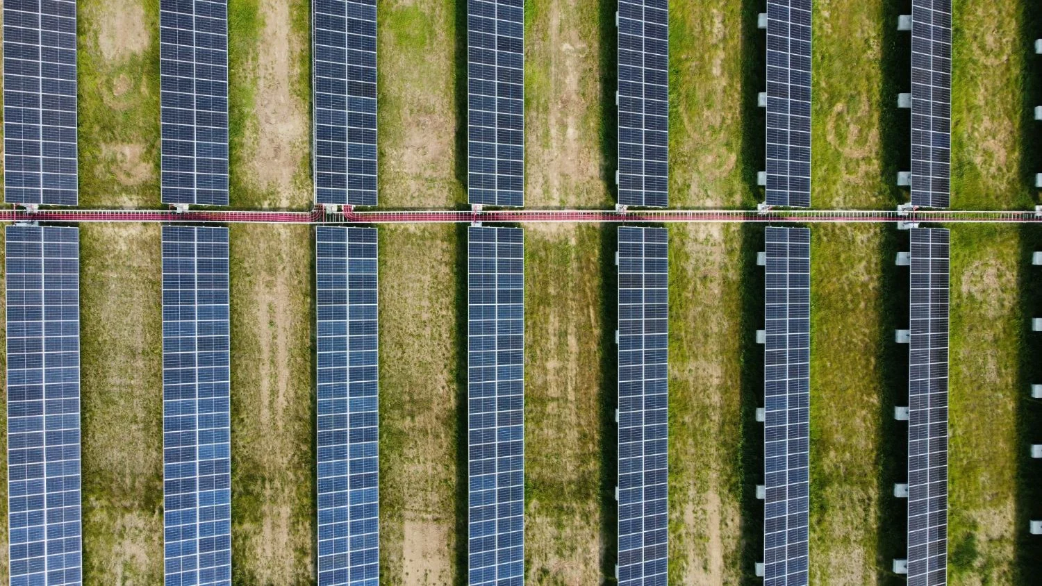 Vista aérea de hileras de paneles solares sobre un campo